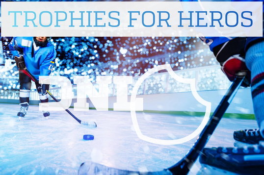 Die Neue Linie made in Germany Trophäen und Awards